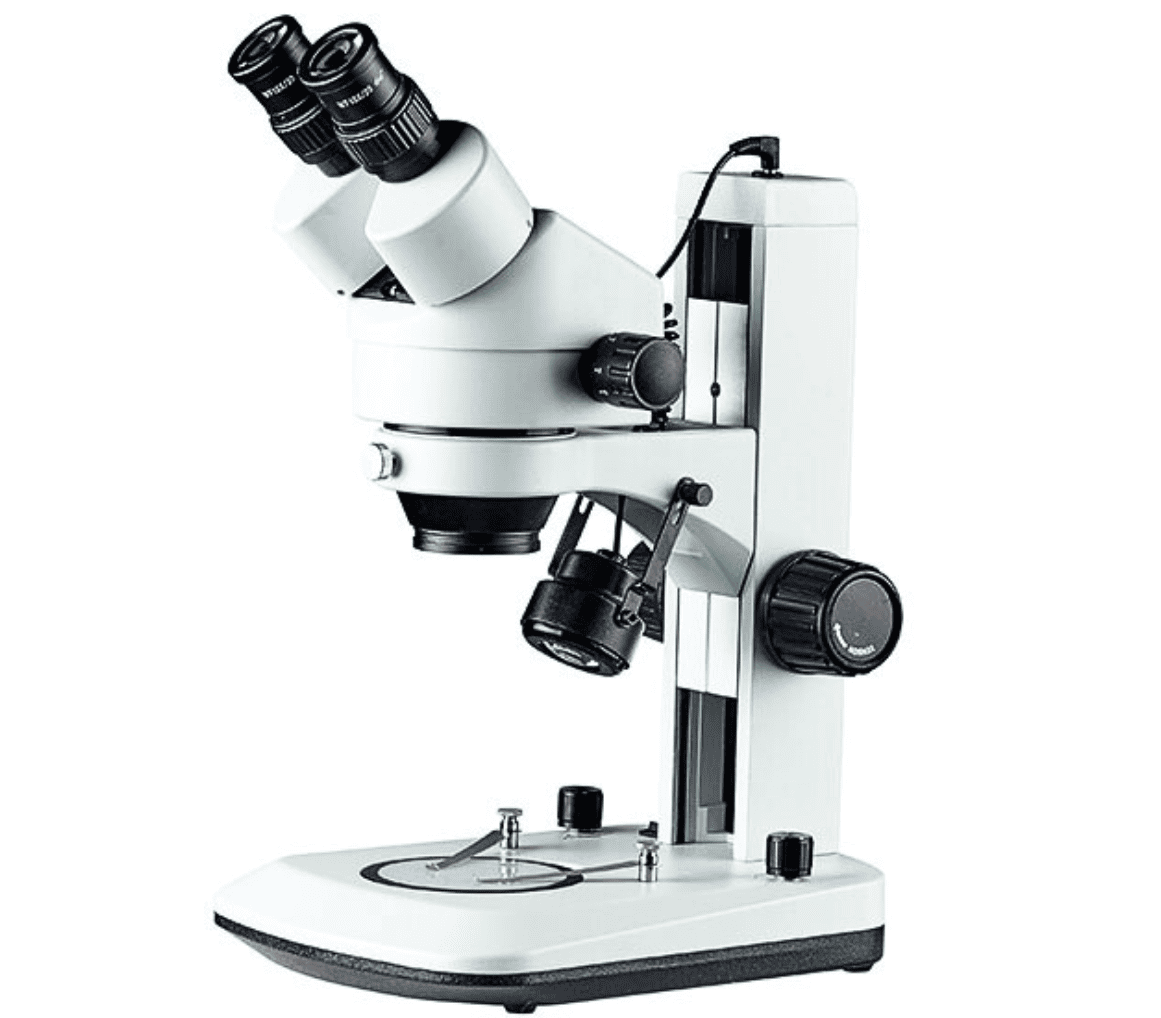 Stereo Prime - Image2